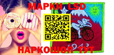индика Обь