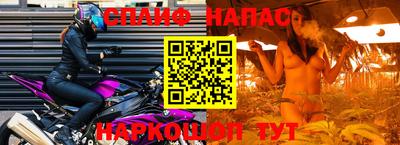 шишки Обнинск