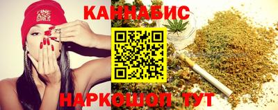 индика Обь