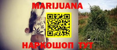 индика Обь
