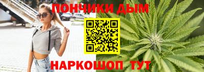 индика Обь