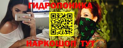 шишки Обнинск