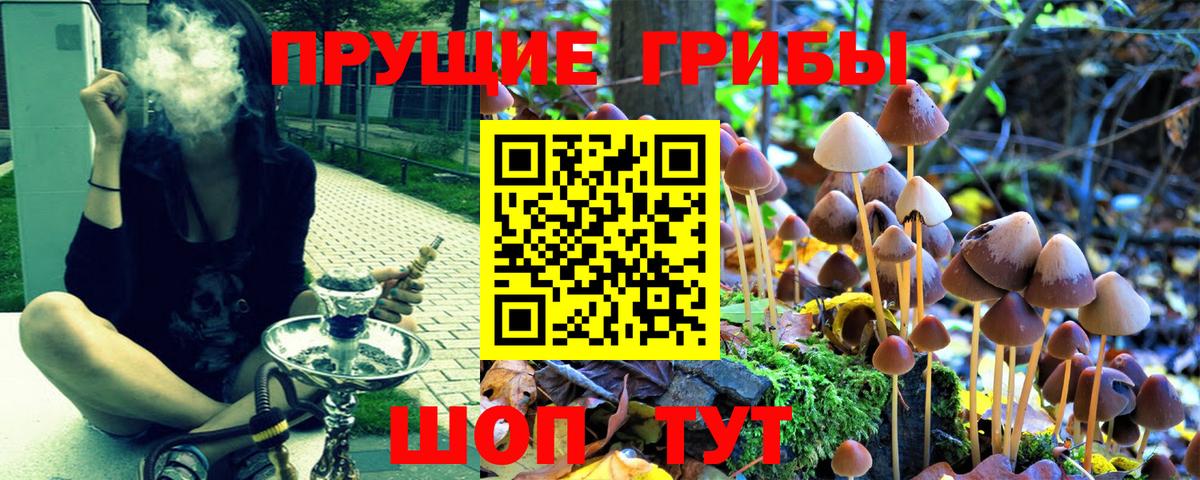 Сланцы  Псилоцибиновые грибы Magic Shrooms  дарнет шоп  Вход с VPN 