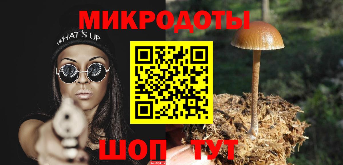 Галлюциногенные грибы ЛСД Сланцы